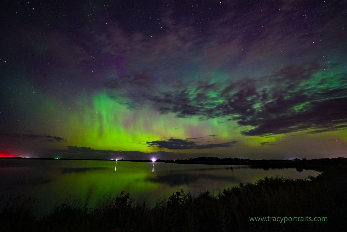 KeresteshTracy's tweet photo. Lady Aurora dancing with a million mosquitoes.
Aug. 1st 1am. Melville Sk.
#tracyportraits #skstorm #meanwhileinsask #ShareYourWeather
#aurora #northernlights #auroraborealis #melville #saskatchewan #tourismsaskatchewan https://t.co/WbhRUaVA2O