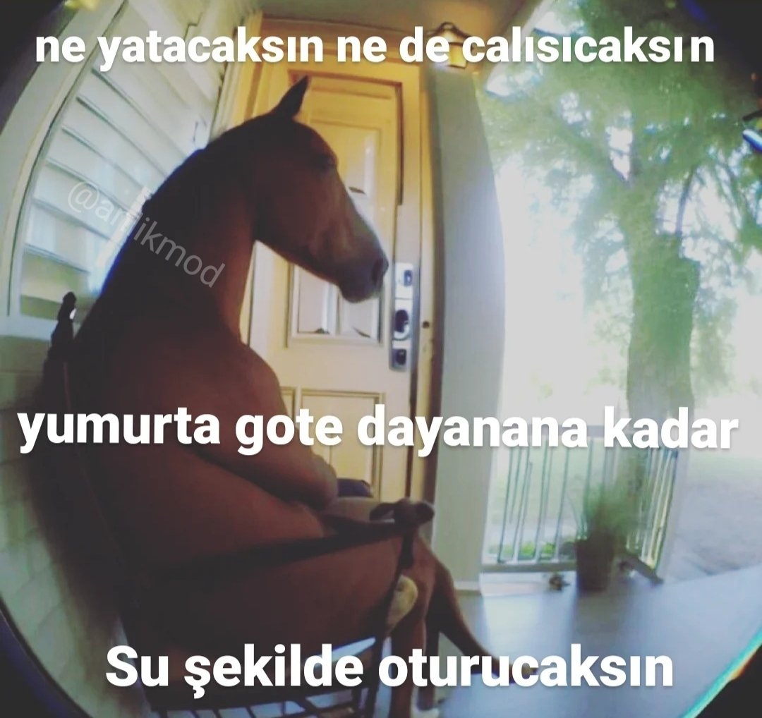 ANLIK (@anlikmod) on Twitter photo 