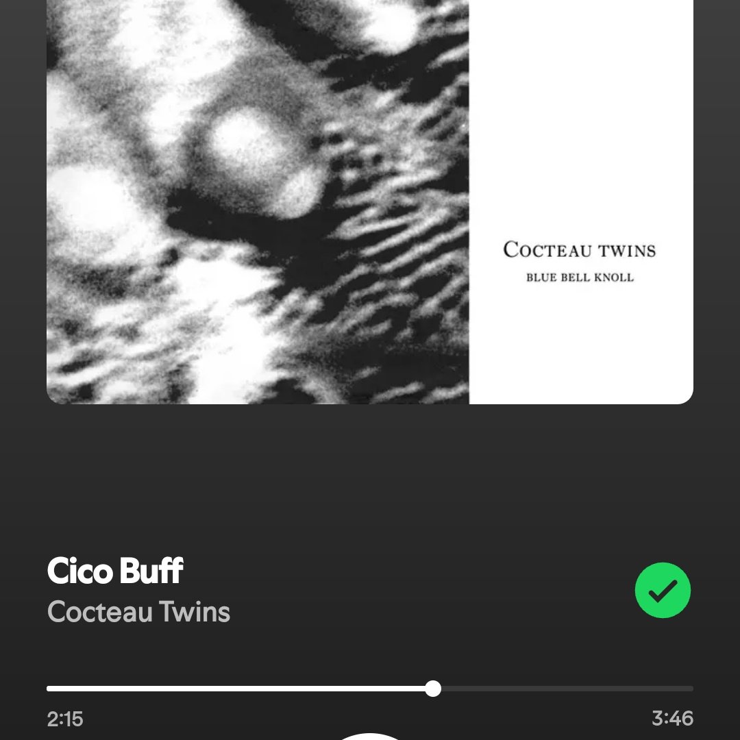 shoregazed's tweet photo. i love cocteau twins so muchhhh https://t.co/yWMDDyANct