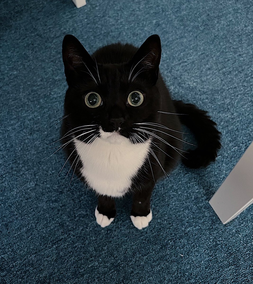 엄마 뜨개하는거 보고 눈 땡그래진 애