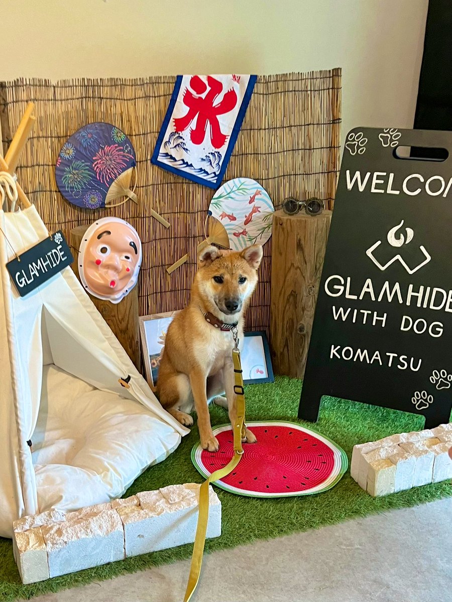 glamhide_kmq's tweet photo. 皆様こんばんは！

フォトスポットが夏仕様になりました📷🌻
夏らしい思い出の1枚を是非✨

また、満天ノ　辻のやの縁日が始まりました☀️

期間:8/31(土)まで
料金:1,000円(チケット4枚)
時間:17:00-21:00
※辻のや館内はワンちゃんはご入館いただけません。

お待ちしております⚡️🍉 https://t.co/WRP1fwcfDp