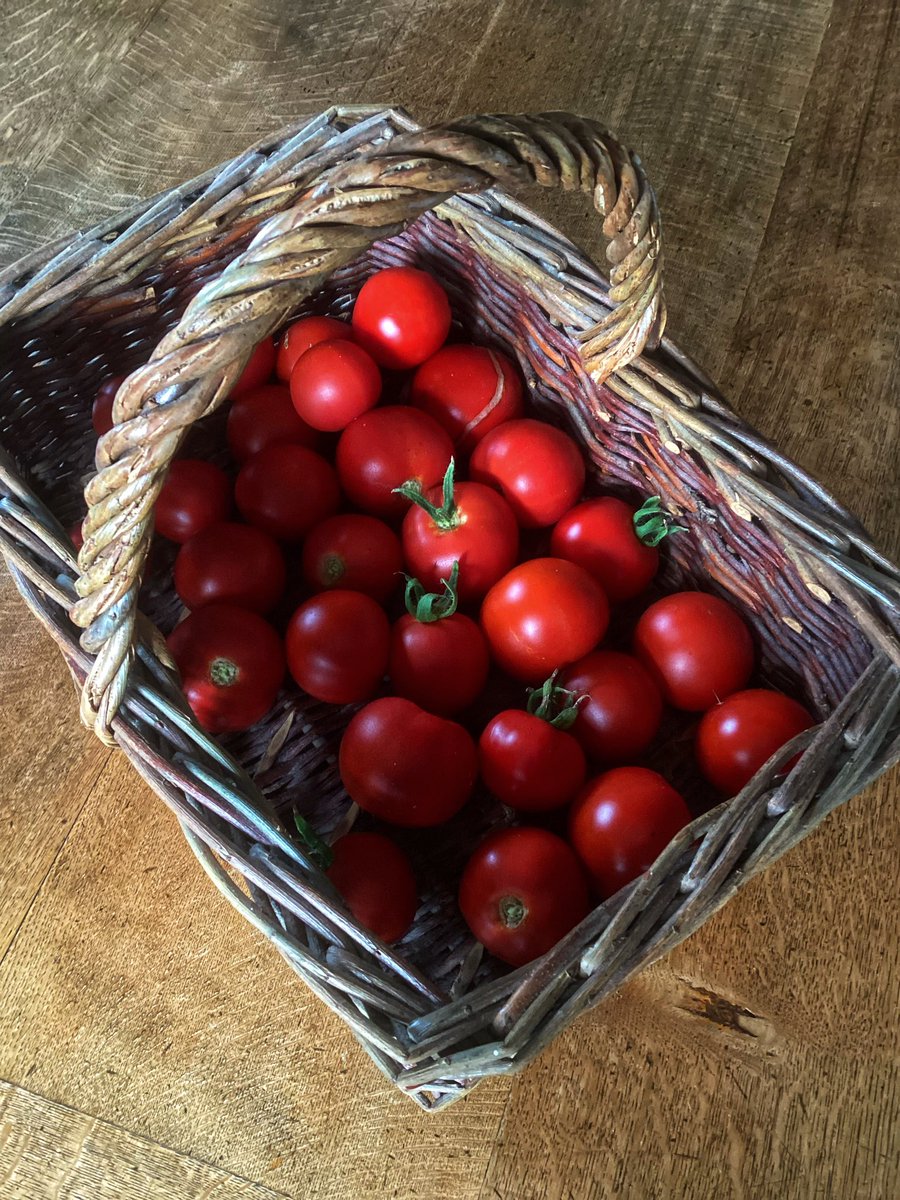 booksandwellies's tweet image. #FirstFruits
