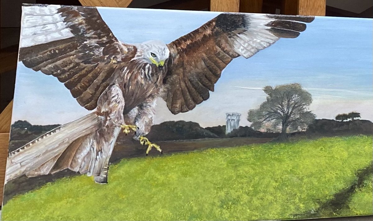 Finally finished my oil painting of a red kite over a Bedfordshire countryside