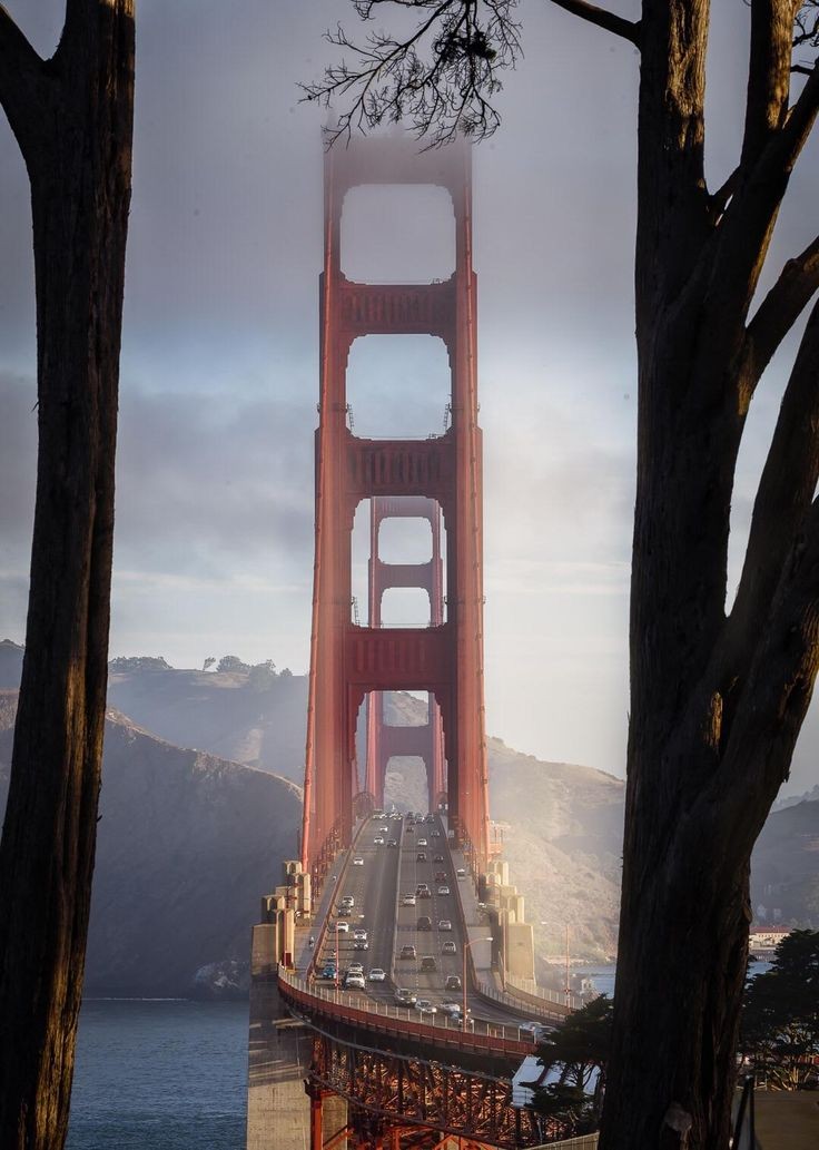 Golden Gate Bridge, San Francisco's Icon 🇺🇸
GM 
photoweb 📸