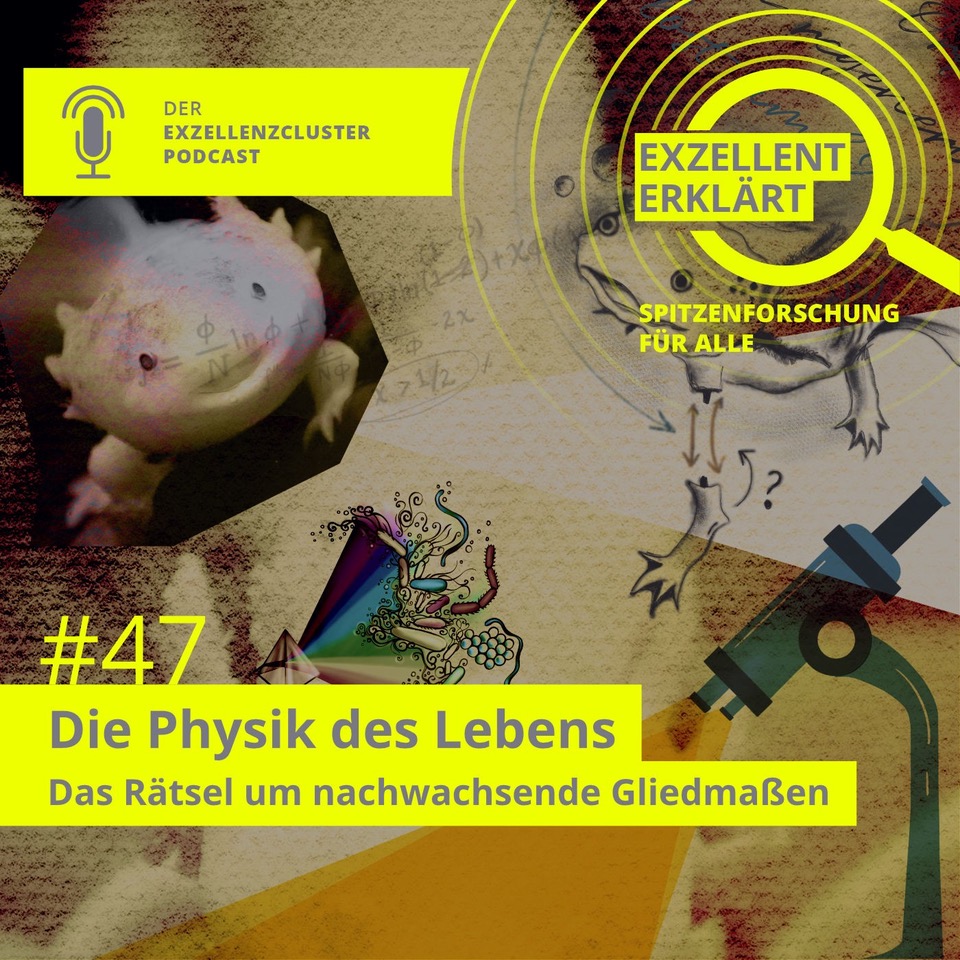 Physics of Life Dresden tweet media