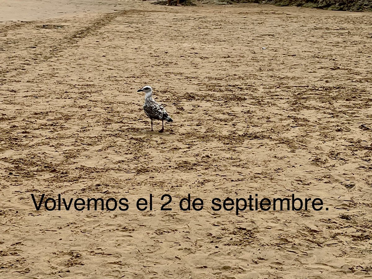 EOIsanse's tweet photo. Nos vamos a descansar, si quieres aprender alemán, francés, español, inglés, chino o italiano nos quedan vacantes. Consulta nuestra web.Feliz verano! https://t.co/kr3MTCGLE1