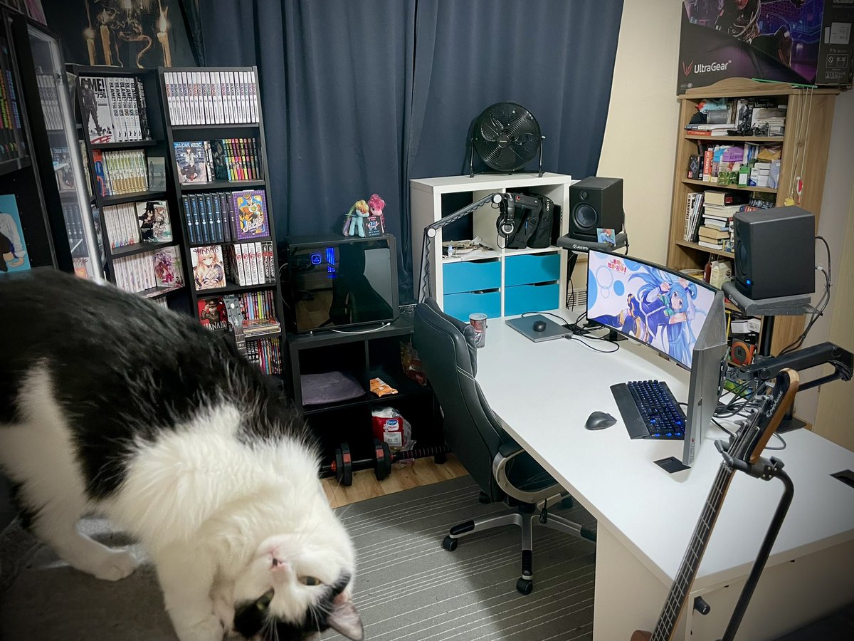 EnteWutender's tweet photo. @TheAn1meMan The corner of my living room I spend most time in.
(Not much more in the room - kitchen annex behind the monitors, bike and a lot of old stuff like old desk on wall opposite to the window.)

BTW: smaller monitor arm swings to face kitchen, so I can watch TT while cooking https://t.co/0ti8WDgoPy