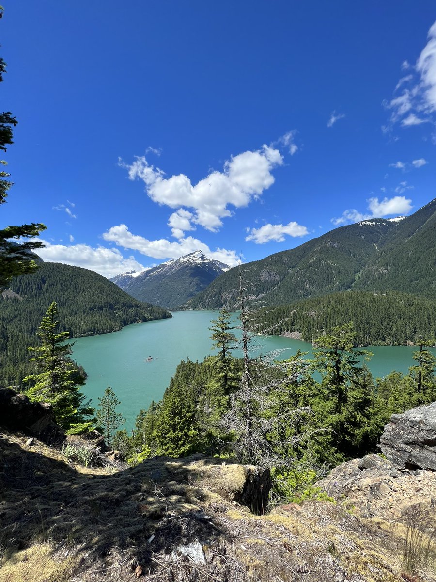 механик Зелёный  tweet media