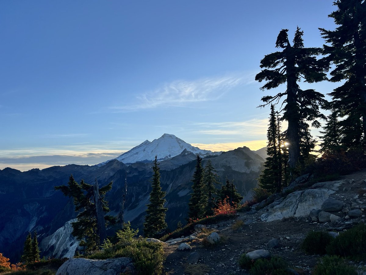 механик Зелёный  tweet media