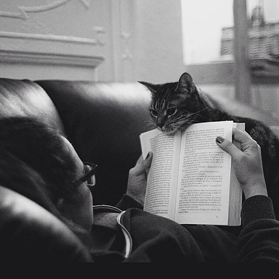 Vivant comme je le fais avec les êtres humains, plus je les observe, plus je suis forcé de conclure qu'ils sont égoïstes. » Natsume Sōseki, Je suis un chat (吾輩は猫である), traduit du japonais par Jean Cholley, Connaissance de l’Orient / Gallimard, 1978