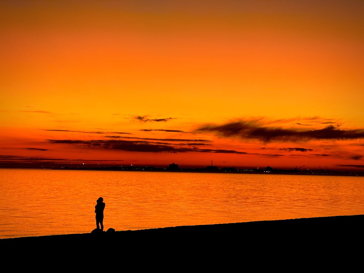 Wayne Ludbey tweet media