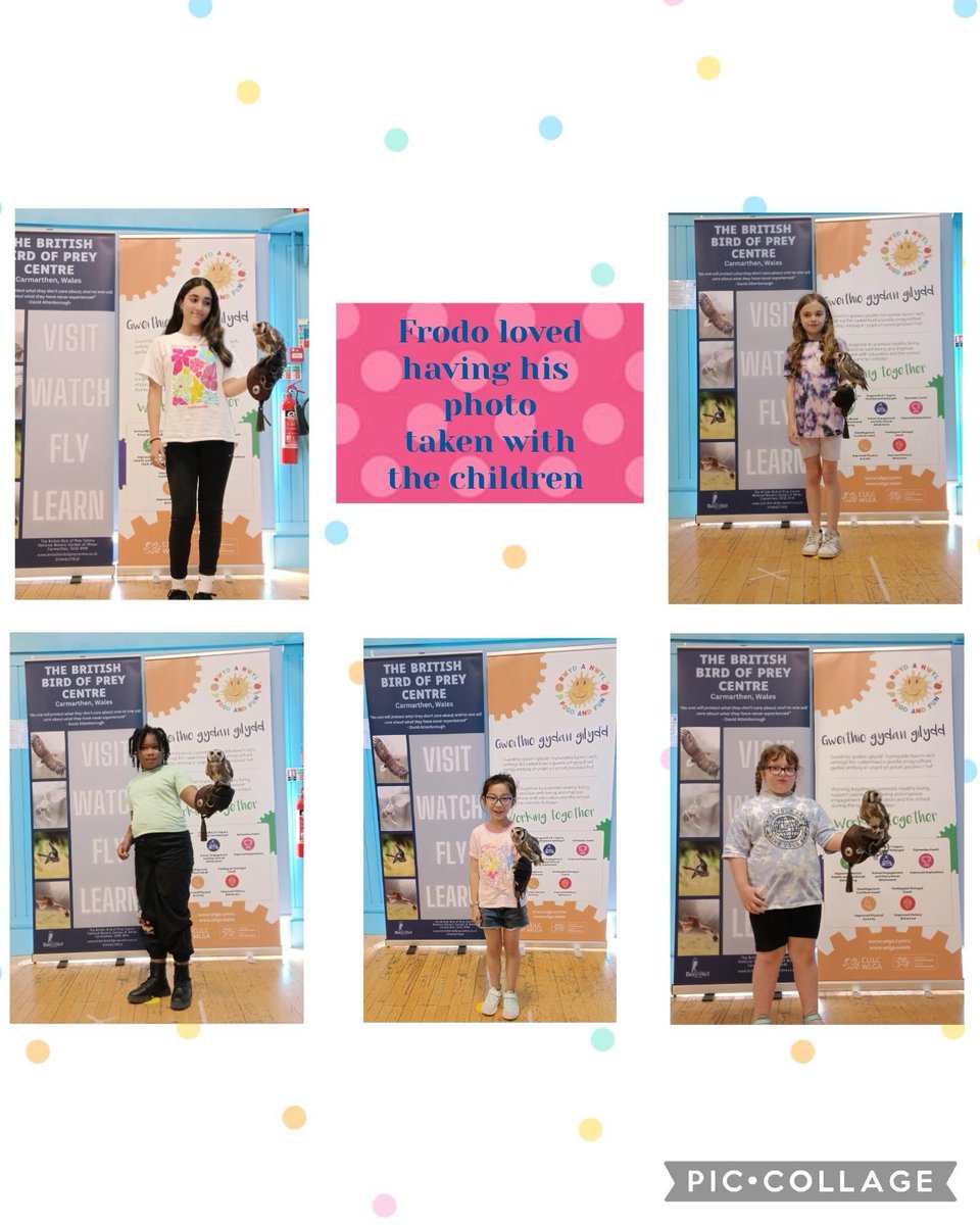 Hafod Primary School 🧡 tweet media