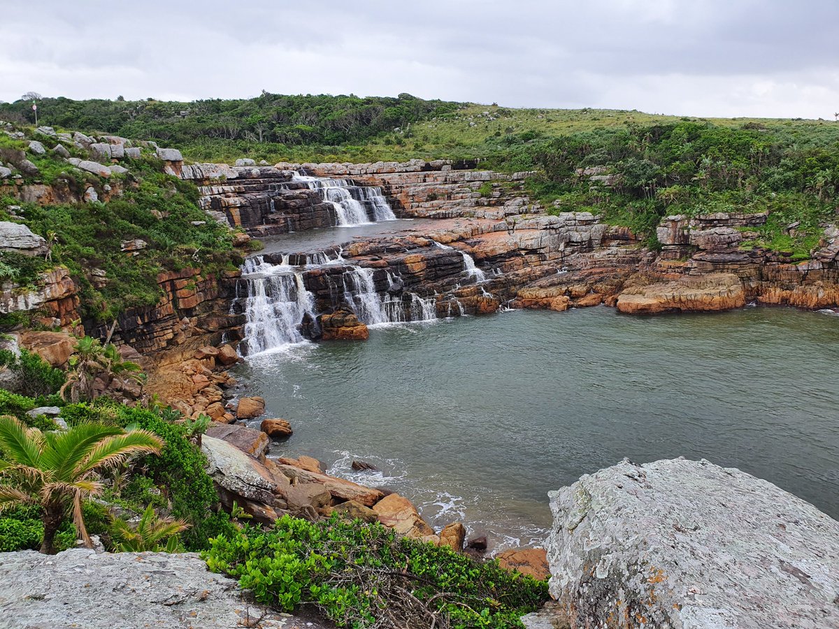 Judy Mann-Lang tweet media