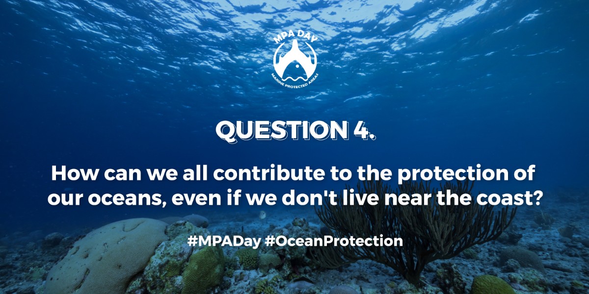 Q4. How can we all contribute to the protection of our oceans, even if we don't live near the coast? 
#MPADay
