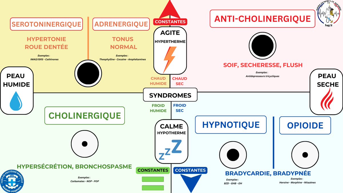 ☠️ Les 6 grands syndromes d'intoxications médicamenteuses, classés par toxidromes.

Source : Bataillon de marins-pompiers de Marseille
<a href="/MarinsPompiers/">Marins-pompiers de Marseille</a>