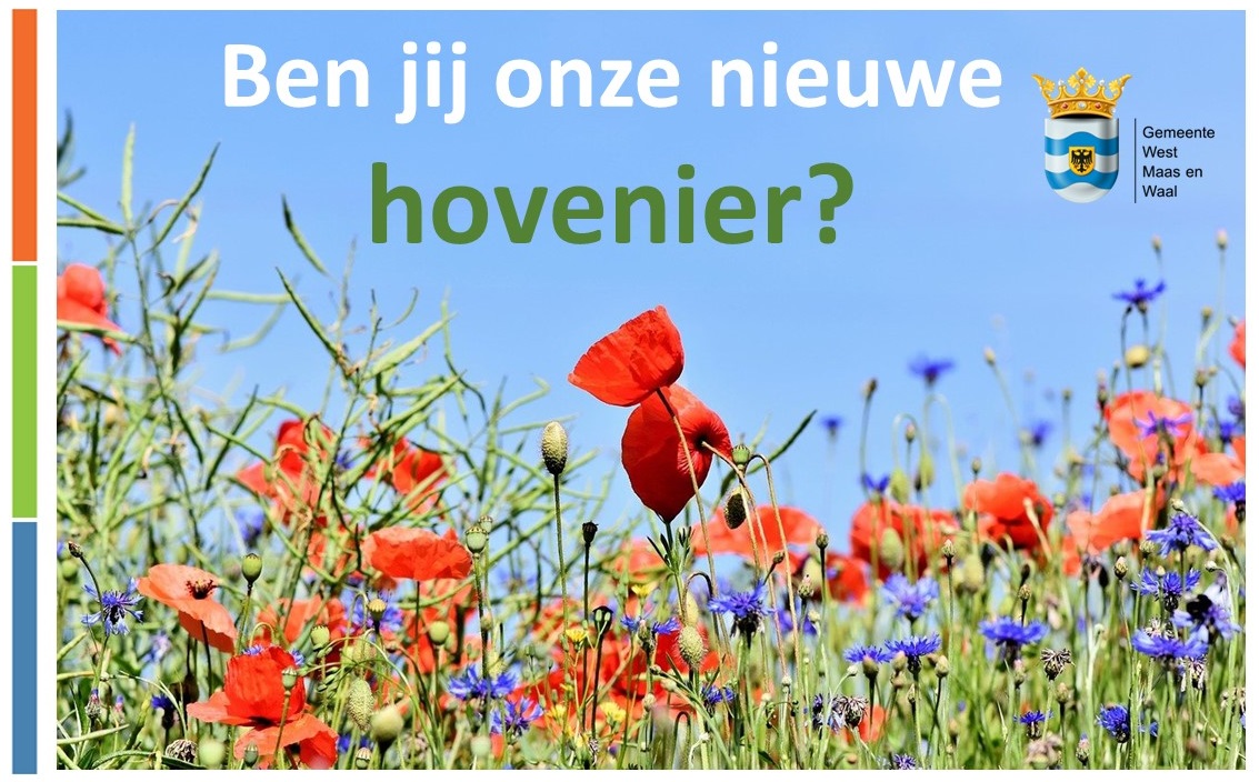 Heb jij groene vingers? En werk je graag in de buitenlucht? En wil jij bijdragen aan een fijne en mooie omgeving voor onze inwoners? Dan is onze vacature Hovenier (36 uur/ Mbo) misschien iets voor jou! Kijk dan op bit.ly/3WevCUU en reageer uiterlijk 8 september.