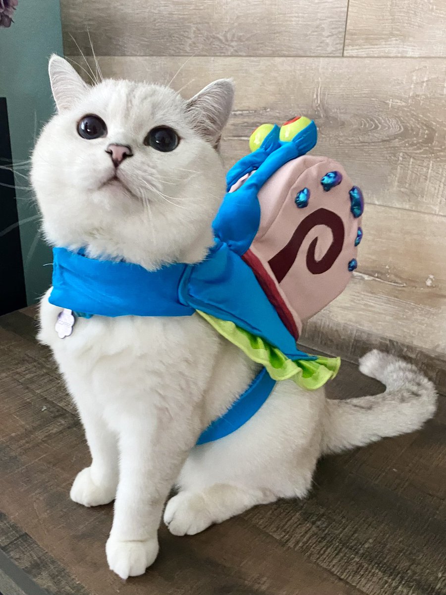 Love my Gary outfit. But I am no snail !!!

$WCC #clawsout!!!
#WCC