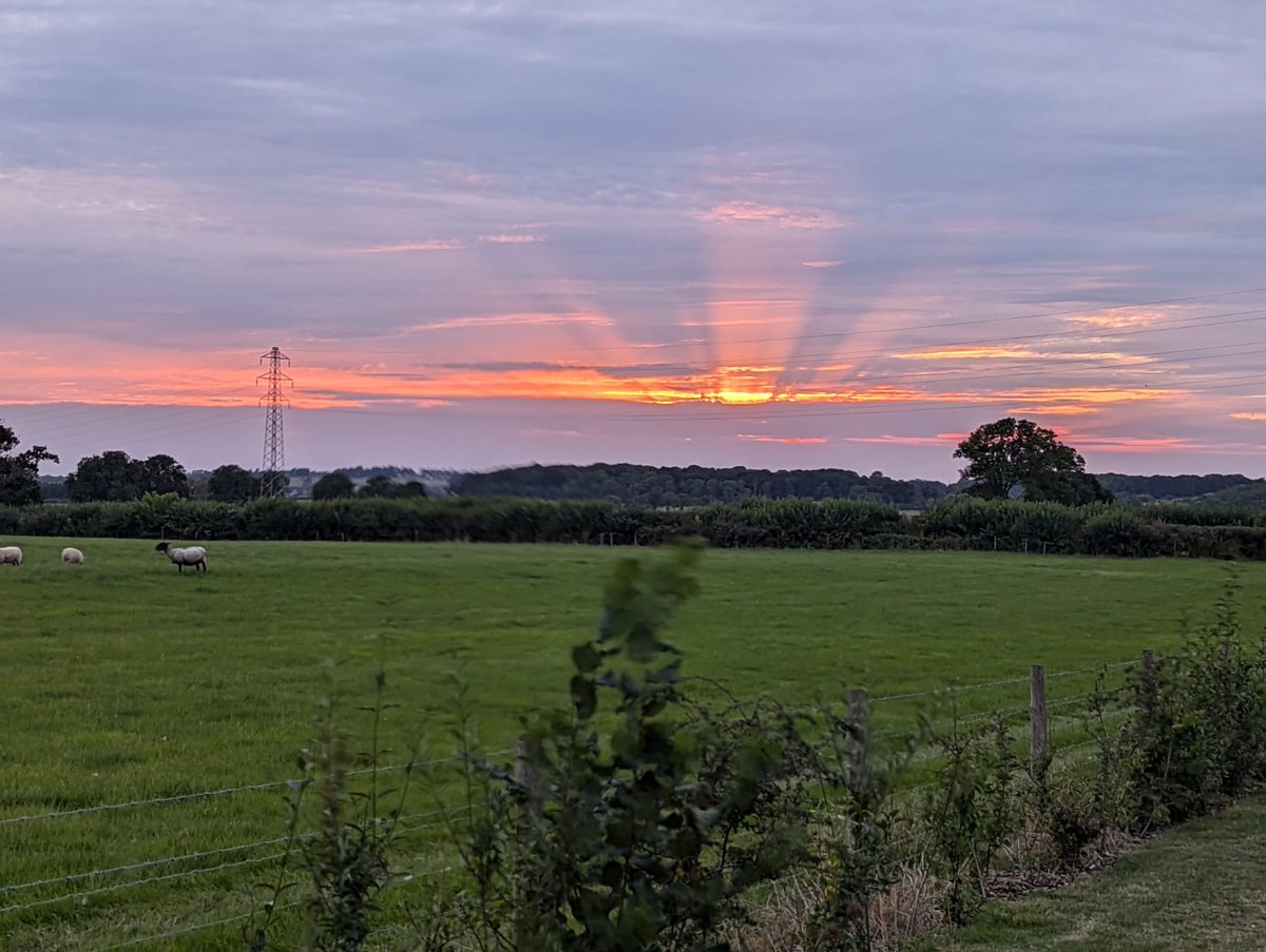 charley_pop's tweet image. august by Taylor Swift. 
Then, now, always. 🩶 #augusttaylorswift