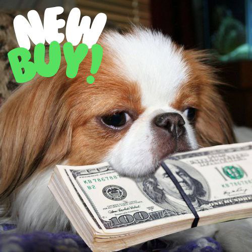 Chin_cutedog's tweet photo. @Launchhunter #CHIN 🔥🔥🔥 https://t.co/y4eEfMOmkd
