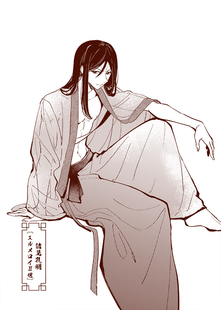諸葛孔明〔エルメロイⅡ世〕