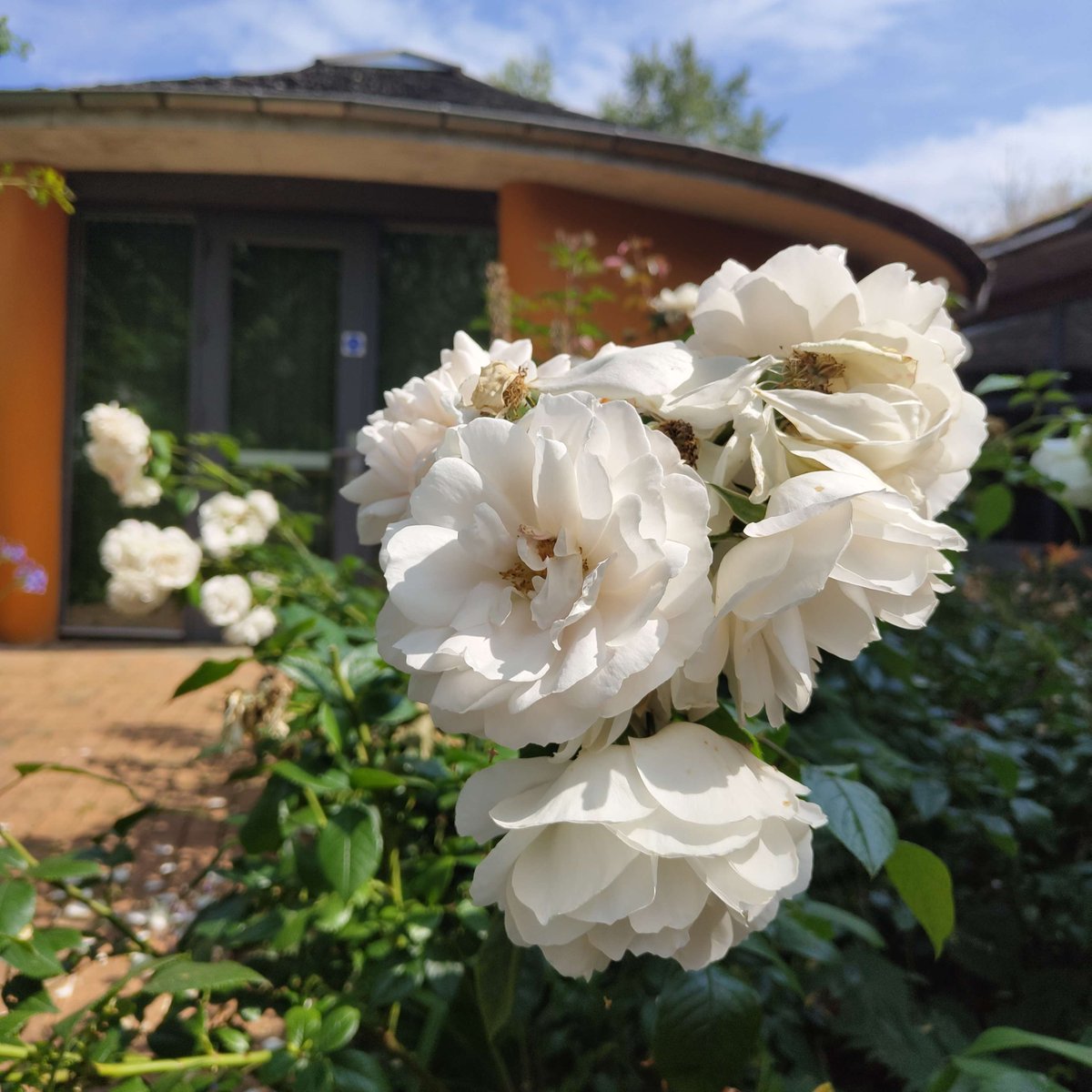 We’re proud of our roots in the White Rose county, where we were founded more than 40 years ago.

From our HQ in Silsden, we're supporting savers and borrowers across the UK in our mission to build a greener society for a more sustainable future.

Happy Yorkshire Day everyone!