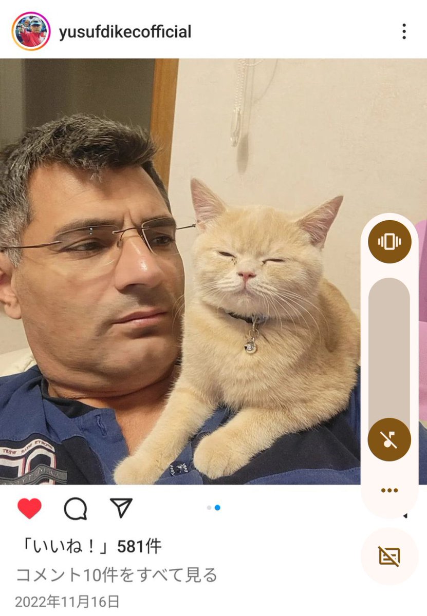 トルコの猫好き無課金おじさん勢🤣🤣