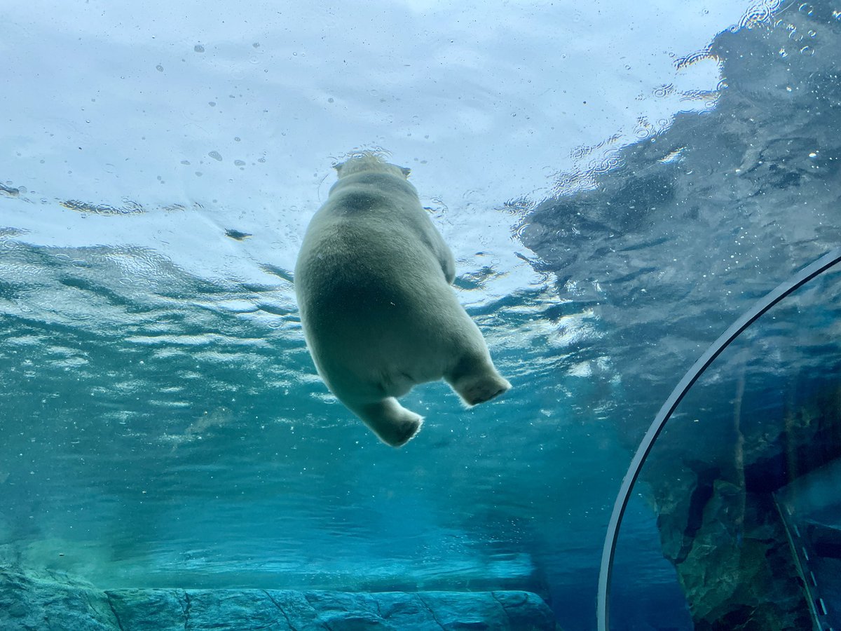 ノノジ tweet media