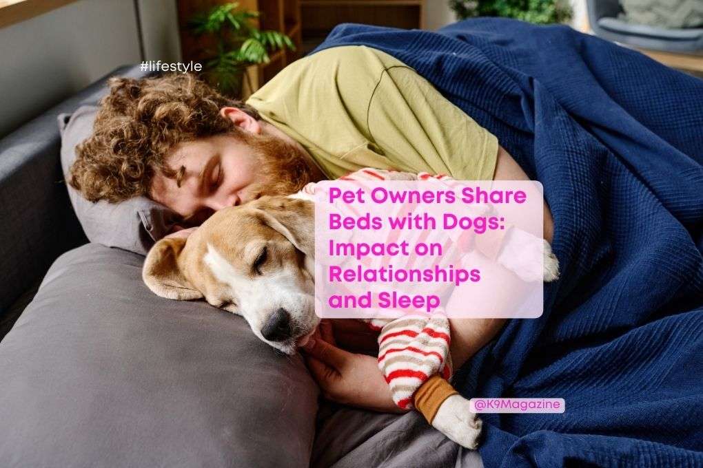 WOOF! Services tweet media