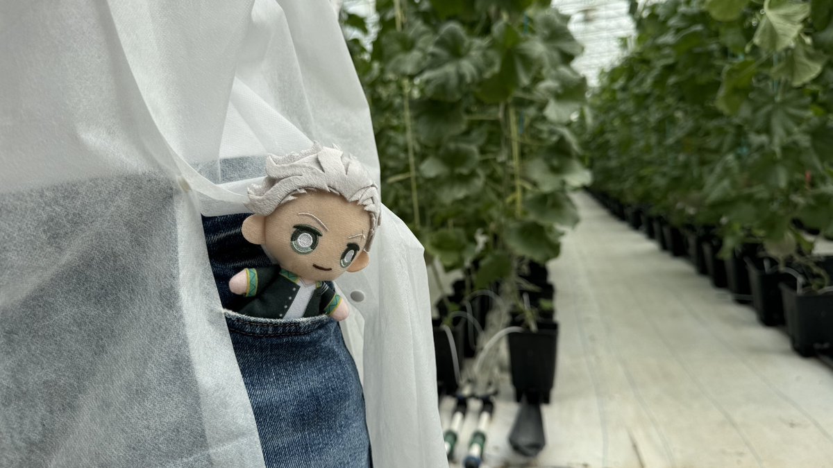 cruisicals's tweet photo. ume’s field trip to a hydroponic farm! 🌱 🍈 https://t.co/zEFxO71RGy