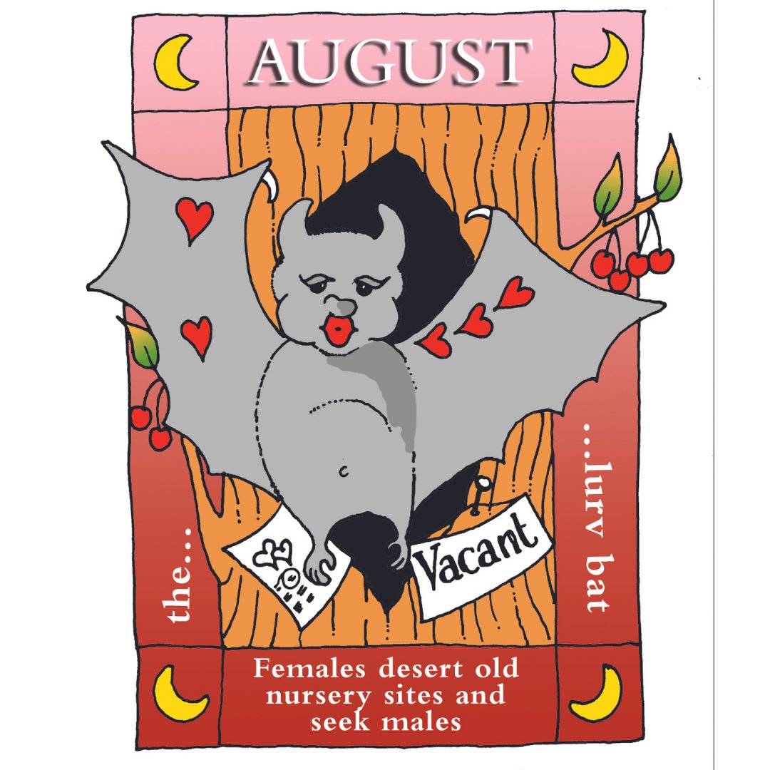 We say it every month but it's true... how is it August already?! 

At around six weeks old, the young bats begin to catch insects for themselves and no longer need their mothers’ milk (although some might still be eating both). 

The summer maternity colonies will begin to