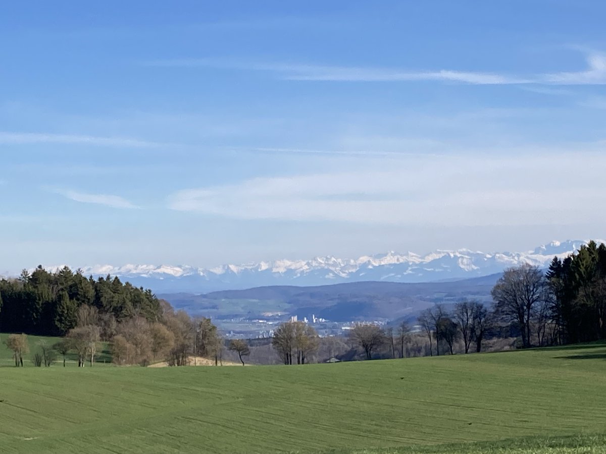 H. Hansen-Magnusson tweet media