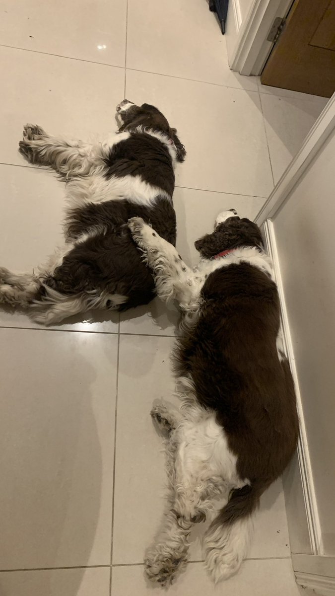 Beth-anythingOT tweet media