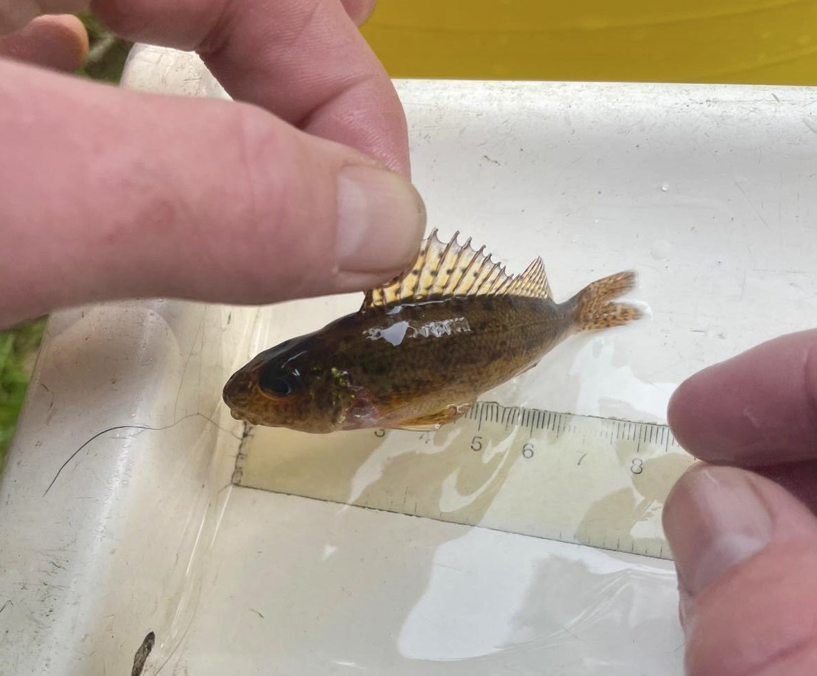 ClydeRiverFoundation tweet media