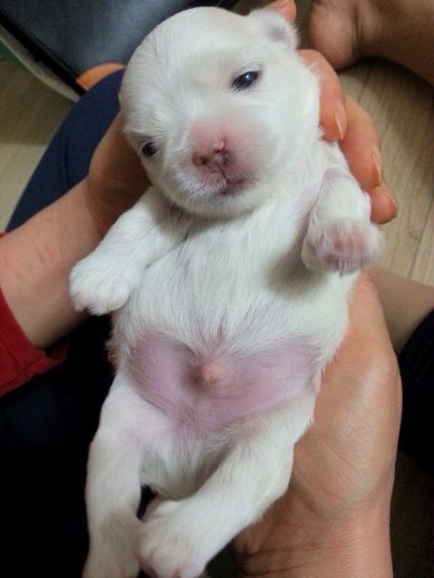 jen린 ♡ tweet media