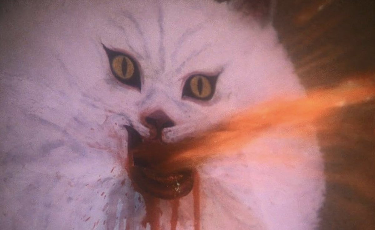 Igor Bannikov tweet media