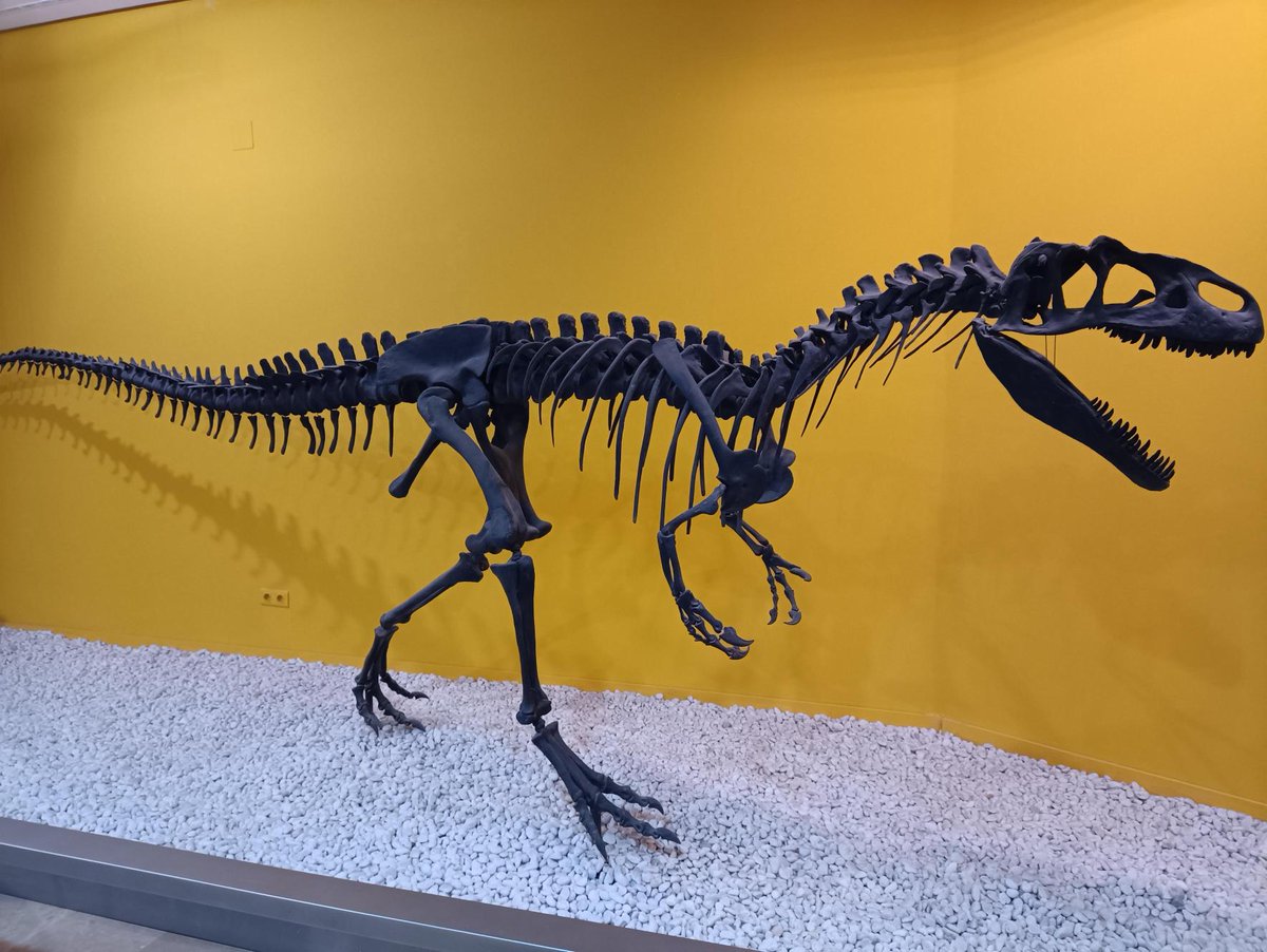 CEV_org's tweet image. Muy pronto actualizaremos la página web #culturaesvida_org con la incorporación de museos. Seguimos trabajando para ofreceros más centros culturales. ¡No os lo perdáis! 

👉 culturaesvida.org

#guia #accesibilidad #funcional #culturainclusiva #innovacion #valencia #codifiva