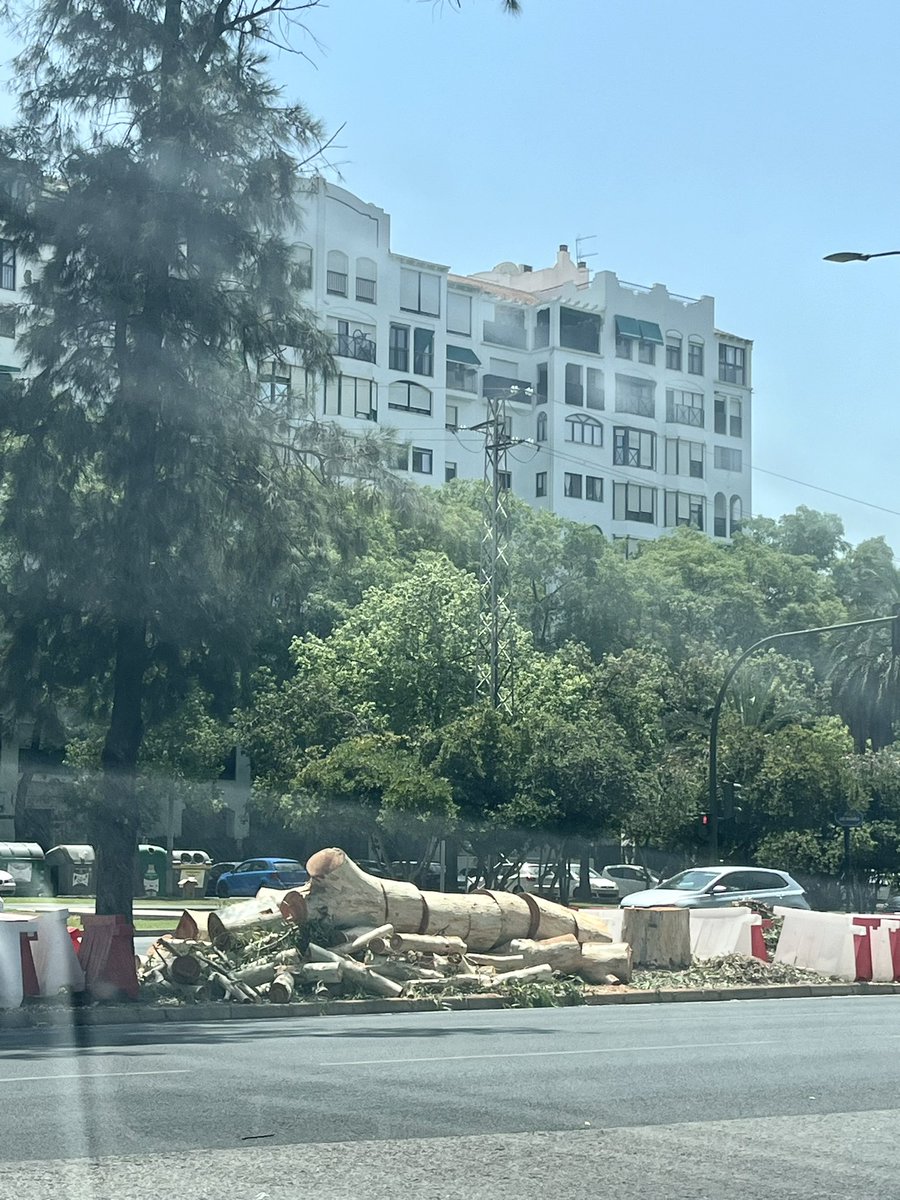 ire28282's tweet photo. @salvatusarboles De ayer a hoy!! Hay que movilizarse y parar esto. 
Y todo por un inútil autobús eléctrico que nadie ha pedido. https://t.co/PpxIYlrfrU