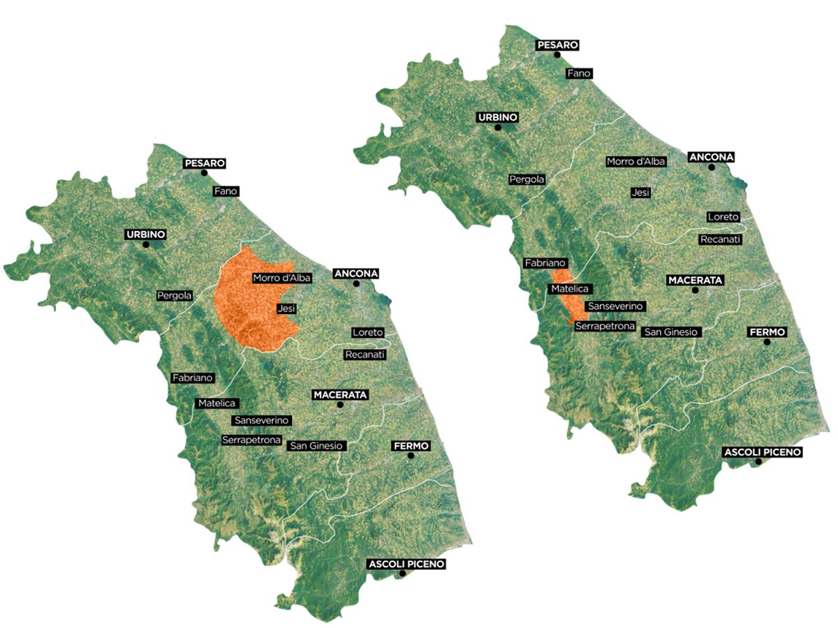 WineNewsIt's tweet photo. L’attuale successo dei vini bianchi pone il #Verdicchio, #Jesi e #Matelica, in posizione privilegiata. Ma è grazie al suo carattere e ai suoi diversi terroir che il bianco marchigiano gode di un futuro promettente, https://t.co/TlkJ6jrviU https://t.co/z7Ne2V2qHB