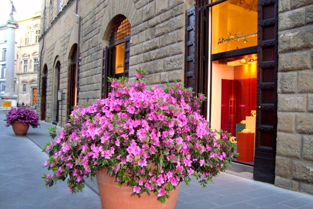 A zonzo per Firenze. Come si sentono i Fiorientini... barbaraathanassiadis.com/blog-italiano/…

#firenze #italia #italiano #cultura #libri #leggere #Turismo #toscana #storia #leggere #italytour #hiddengems #MyTravelStory #florencia #italyintheheart #italytravel #arte