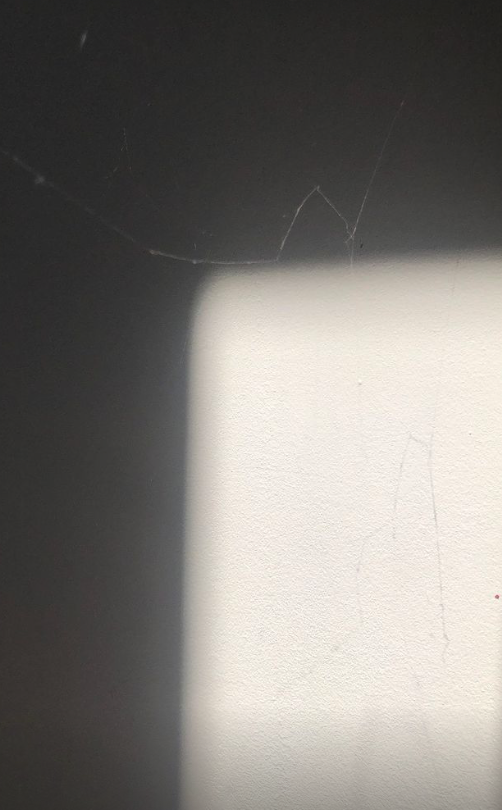 thisisclick tweet media