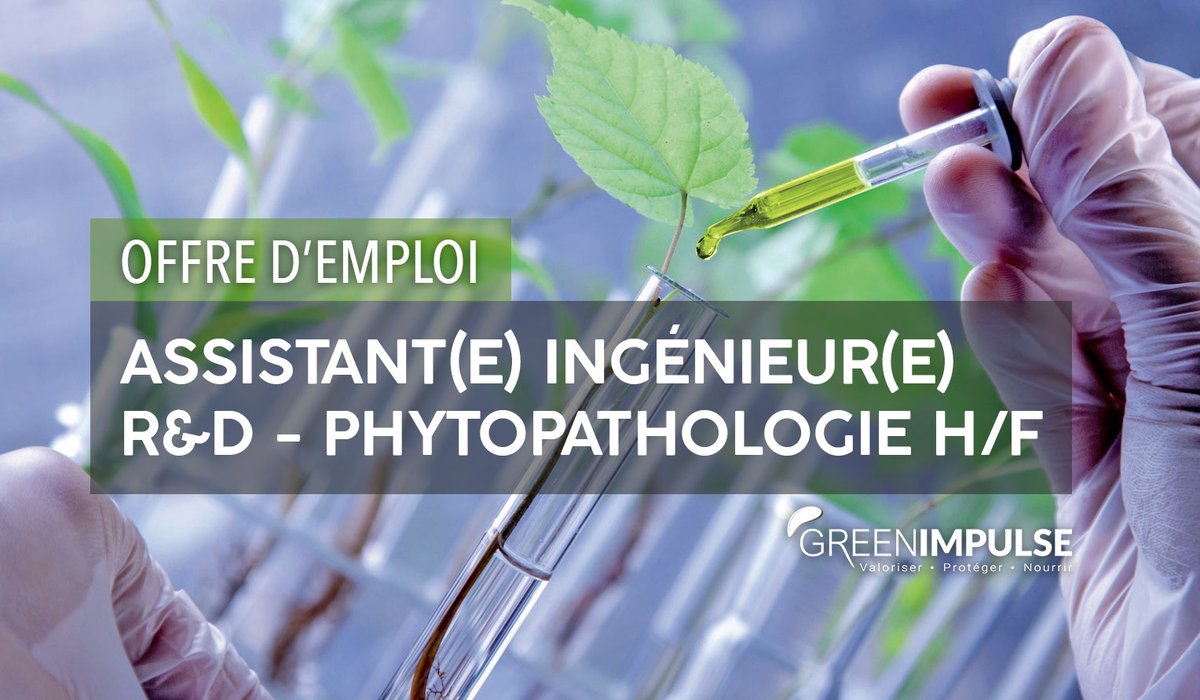 💼 NEW #JOB à #Angers🌟
On recherche notre nouveau ou nouvelle assistant(e) ingénieur(e) phytopathologiste ! 
Rejoignez une start-up en pleine croissance engagée dans le développement de biosolutions pour l'agriculture durable. On en discute ?🚀
#emploi
greenimpulse.fr/wp-content/upl…
