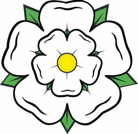 Museum Development North tweet media