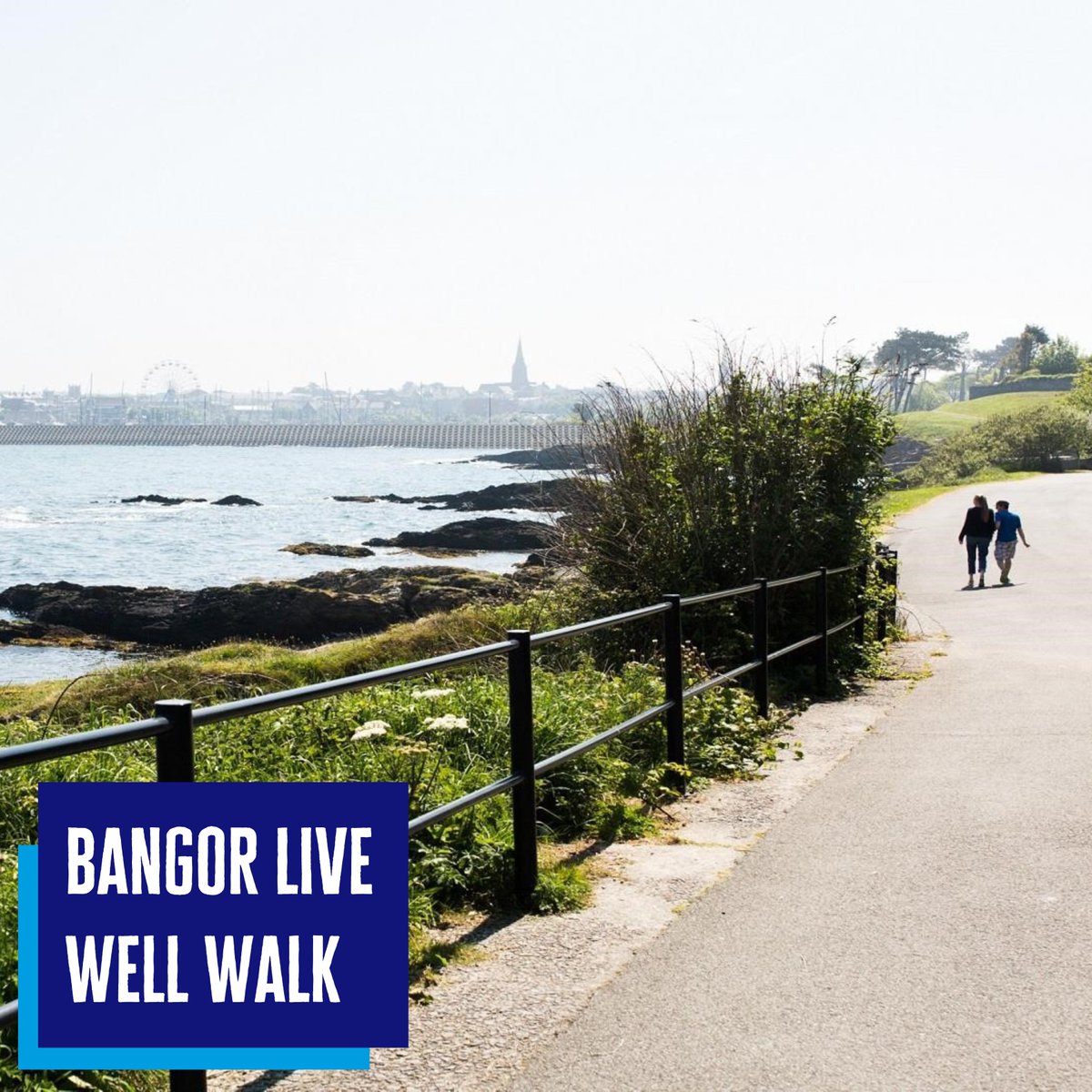 DiabetesUKNI's tweet photo. We're meeting up with members of the Bangor #LiveWellHub for a catch up and a chance to stretch your legs - why not join us?
We'll be meeting at the McKee Clock for a walk along the beautiful Bangor coastline
📅Tuesday 13th August at 10am
📧Email: communityteamni@diabetes.org.uk https://t.co/H3sXPsY6OT