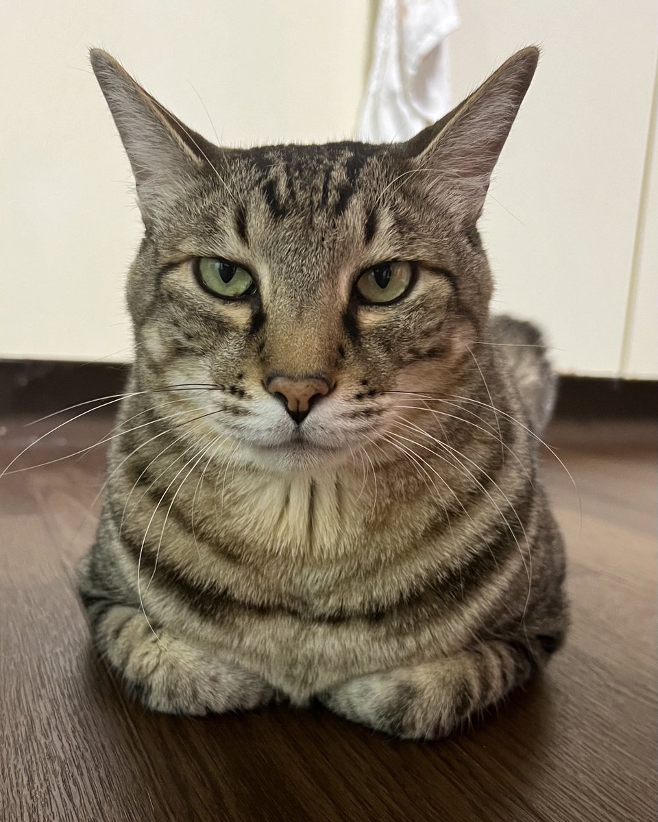 さっちゃ〜〜〜ん tweet media