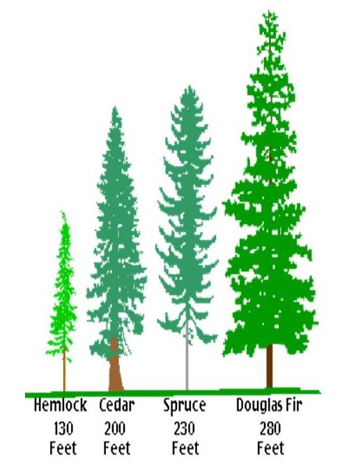 gurullyofficial's tweet image. Describe the image...              
for more practice sign up 👇 
gurully.com 
#PTE #ptepractice #describeimage #ptemocktest #pteexam #ptetips