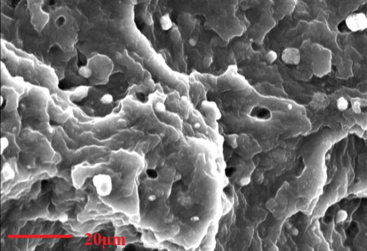 LIDSEN_Publish's tweet image. New articles from #RecentProgressInMaterials

📗Enhancing Thermal, Viscoelastic, and Mechanical Properties of Silicone Rubber Matrix through Reinforcements for Use as a Medical Implant
🔗lidsen.com/journals/rpm/r…

🔗lidsen.com/journals/rpm/r…

#Materials #Nanoparticles #Molecular
