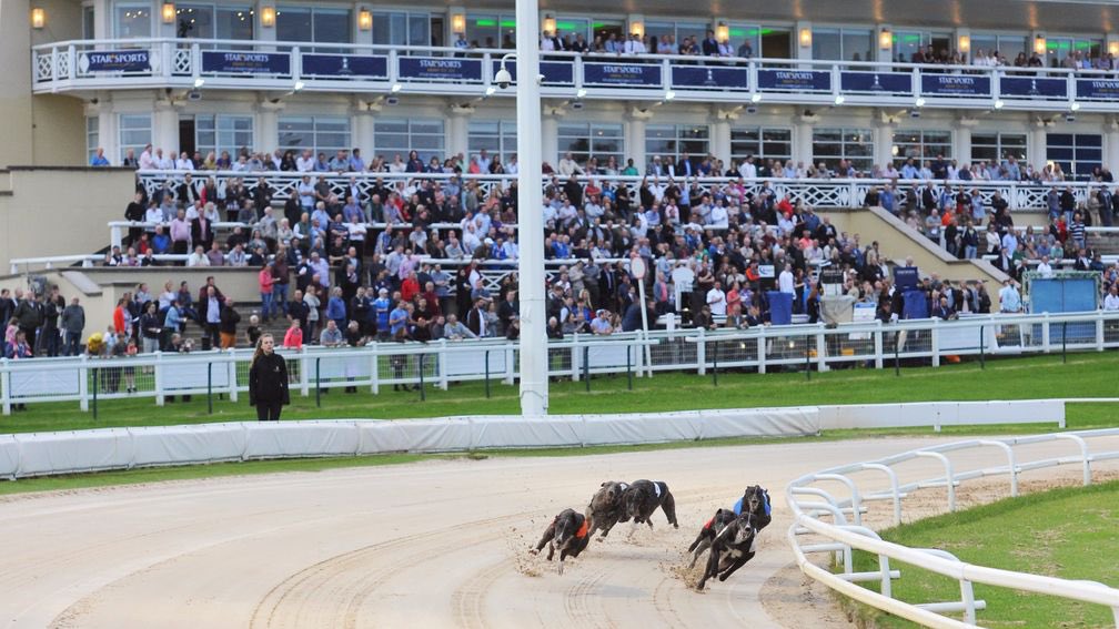 @RPGreyhounds tweet media