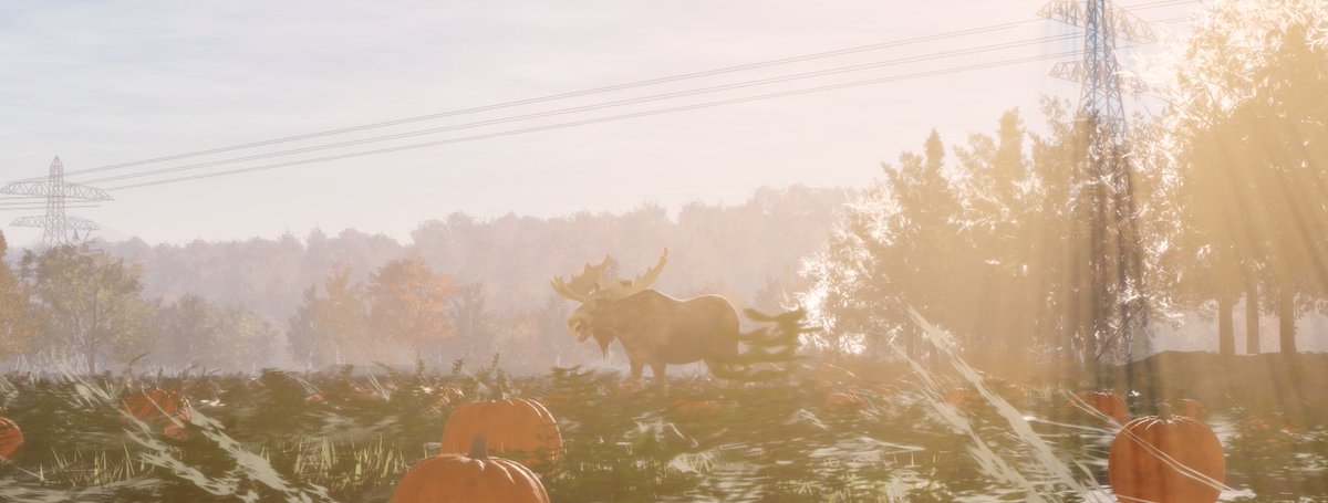 The thrill of the hunt...

Vermont, New England.

#RobloxDev #ROBLOX