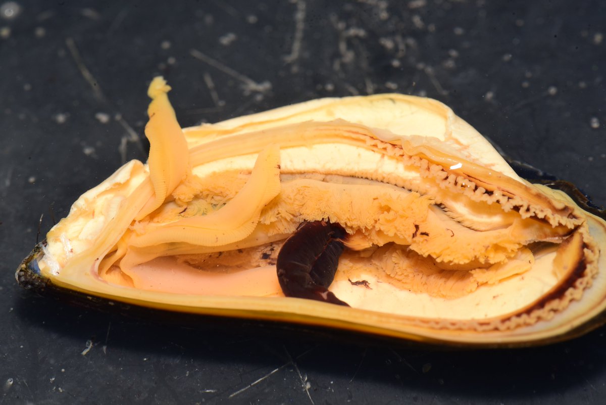 Katharina Ruthsatz tweet media