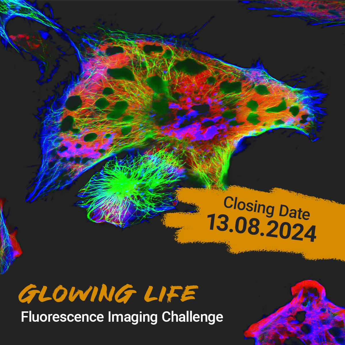 Time's ticking! ⏳ 13 days until the ATTO-TEC #GlowingLifeChallenge wraps up. Don’t miss out—final submissions due by 13.08, 23:59. #LastCallForInnovators #attotec